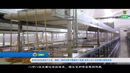 豆黃金食品 一家創造了六個國內第一的企業